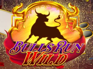 Bulls Run Wild icon